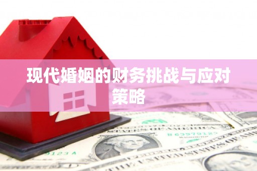 清流现代婚姻的财务挑战与应对策略