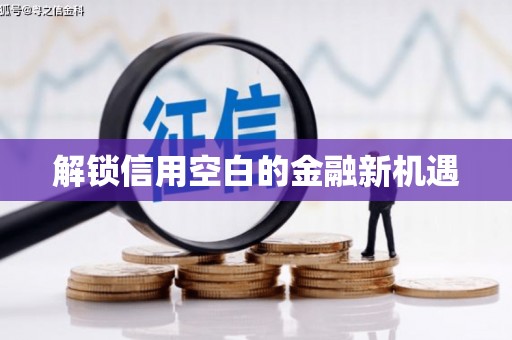 清流解锁信用空白的金融新机遇