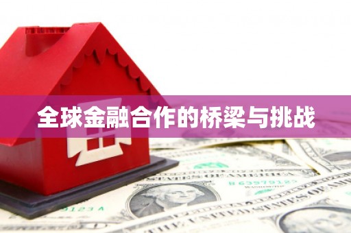 清流全球金融合作的桥梁与挑战