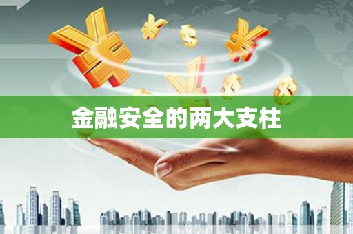 清流金融安全的两大支柱