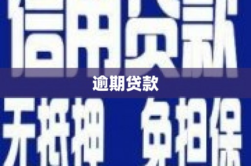 清流逾期贷款