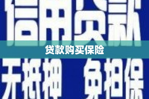 清流贷款购买保险