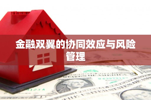 清流金融双翼的协同效应与风险管理