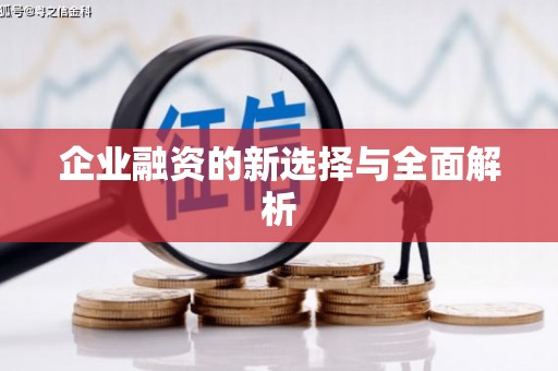 清流企业融资的新选择与全面解析