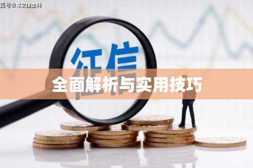 清流全面解析与实用技巧