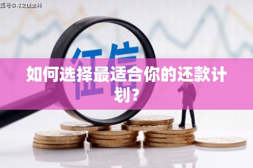 清流如何选择最适合你的还款计划？