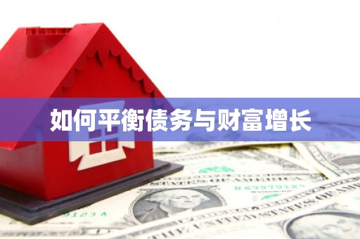 清流如何平衡债务与财富增长