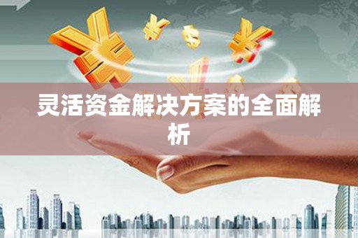 清流灵活资金解决方案的全面解析