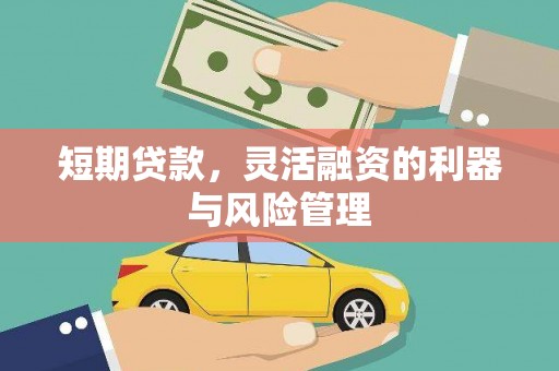 清流短期贷款，灵活融资的利器与风险管理