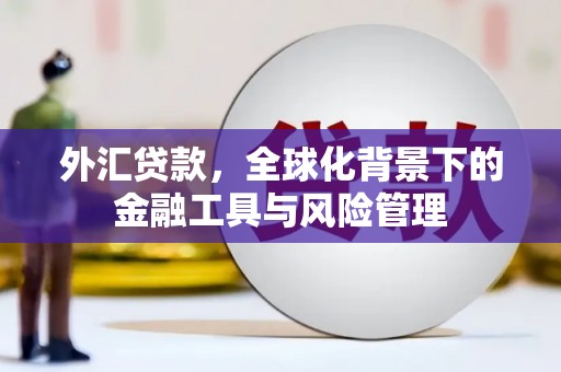 清流外汇贷款，全球化背景下的金融工具与风险管理