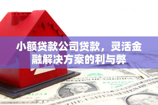 清流小额贷款公司贷款，灵活金融解决方案的利与弊