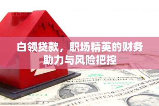 清流白领贷款，职场精英的财务助力与风险把控