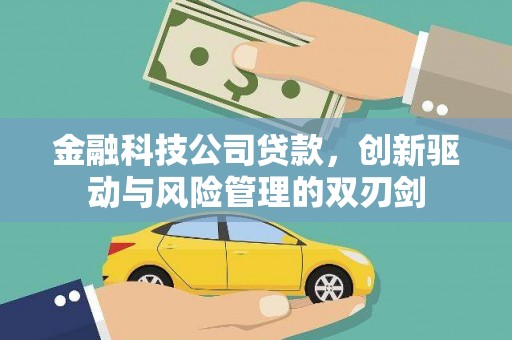 清流金融科技公司贷款，创新驱动与风险管理的双刃剑